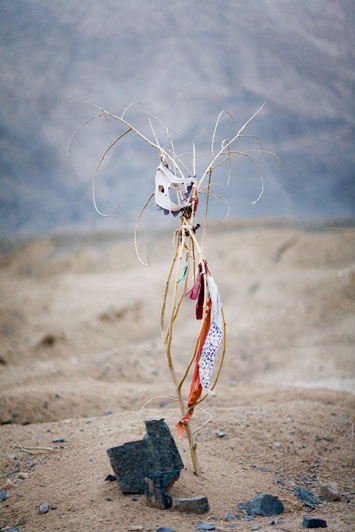 Black Garden (Black Stone, Bent Branch), 2011